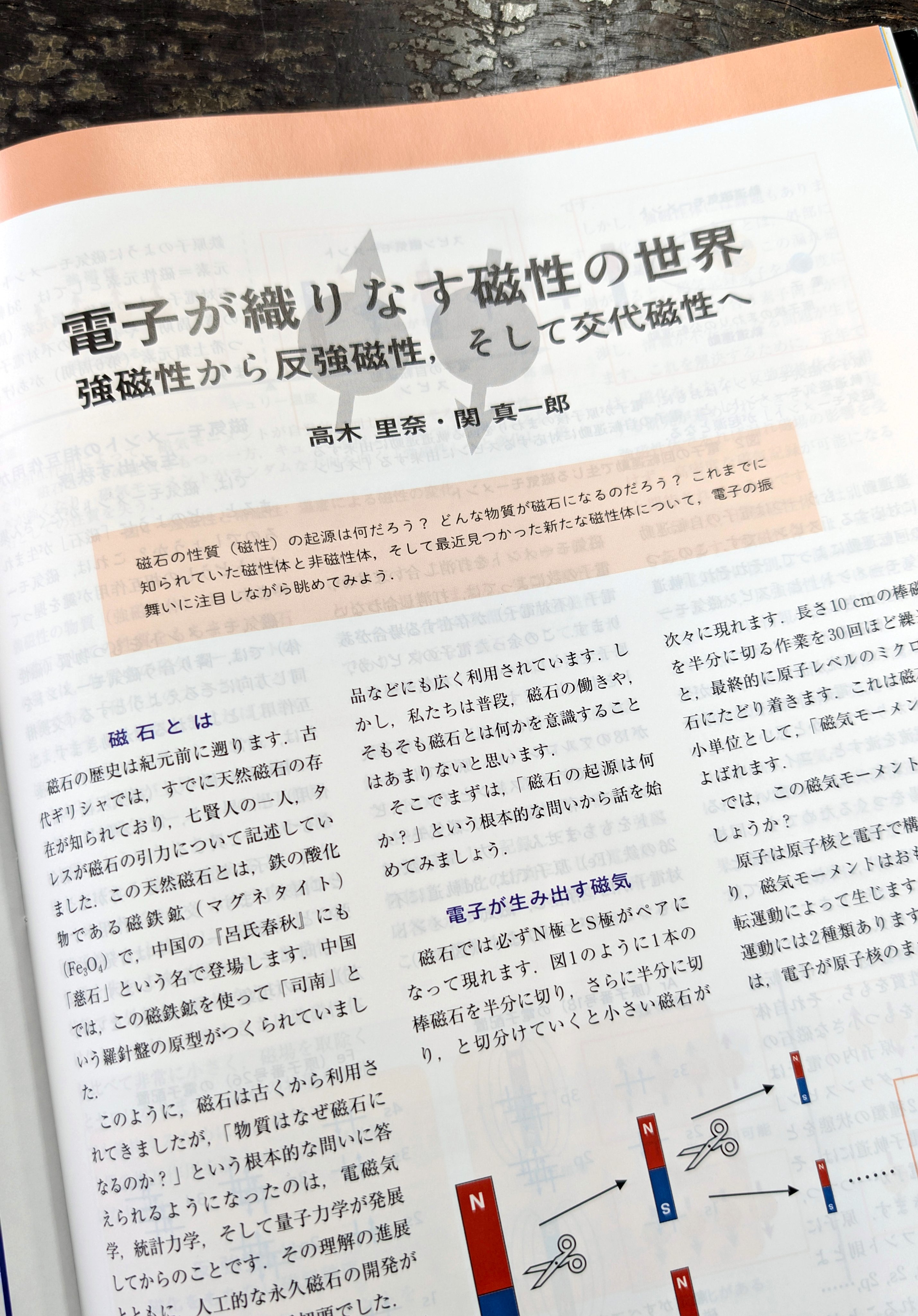 TOEICテスト280点だった私が半年で800点、3年で同時通訳者になれ