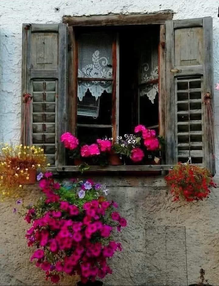 Mekana hayat veren sevgi dolu insandır.

#Günaydın dostlar musmutlu keyif dolu bir gün dilerim.

#Salı #Erkencitayfa #günebaşlarken