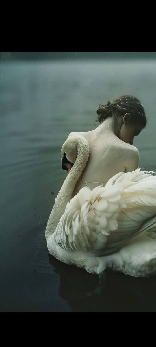 ⛓️
💔
🩸

.
Quand mon Sang s'emmure
dans l'offense d'un murmure...

Soupirant mon Cœur s'endort
contre 
les Larmes de l'Aurore...

À
L'illusion des mots
Amour en Oripeaux

.