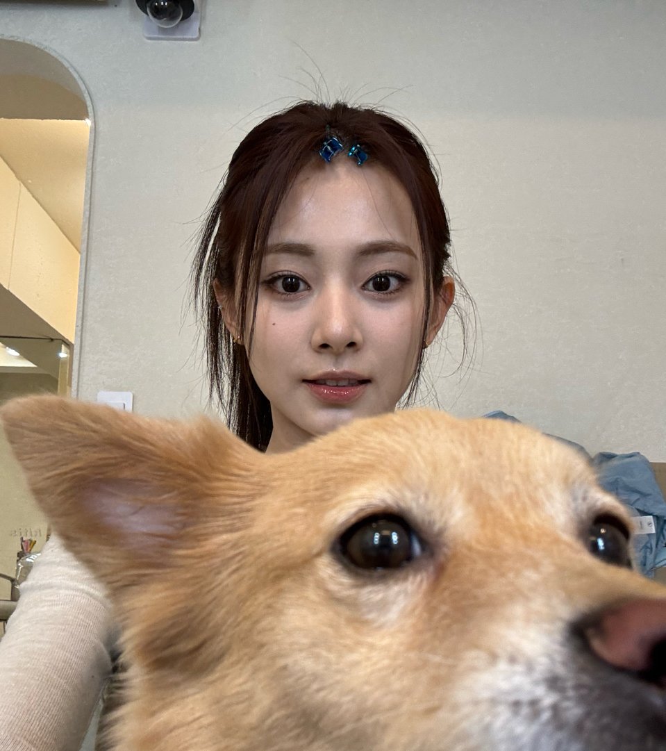 godmitzu's tweet photo. Tzuyu with Kaya, Butter, Boo, and Dobby 🥺 https://t.co/qSlySfrEId
