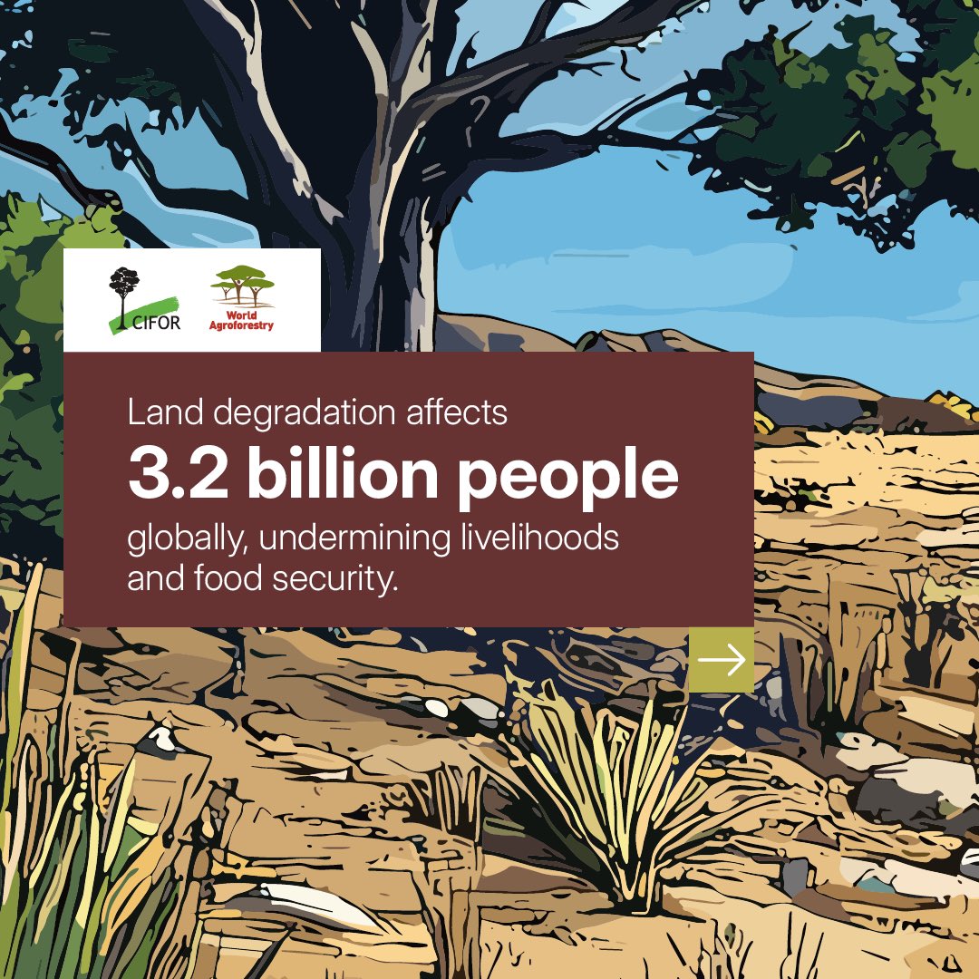 Land degradation affects 3.2 billion people, threatening food security &amp; livelihoods.

Learn how the Land Degradation Surveillance Framework (LDSF) helps map, monitor, &amp; restore land health—using science to guide action where it’s needed most.

🔗: bit.ly/3RWljlF