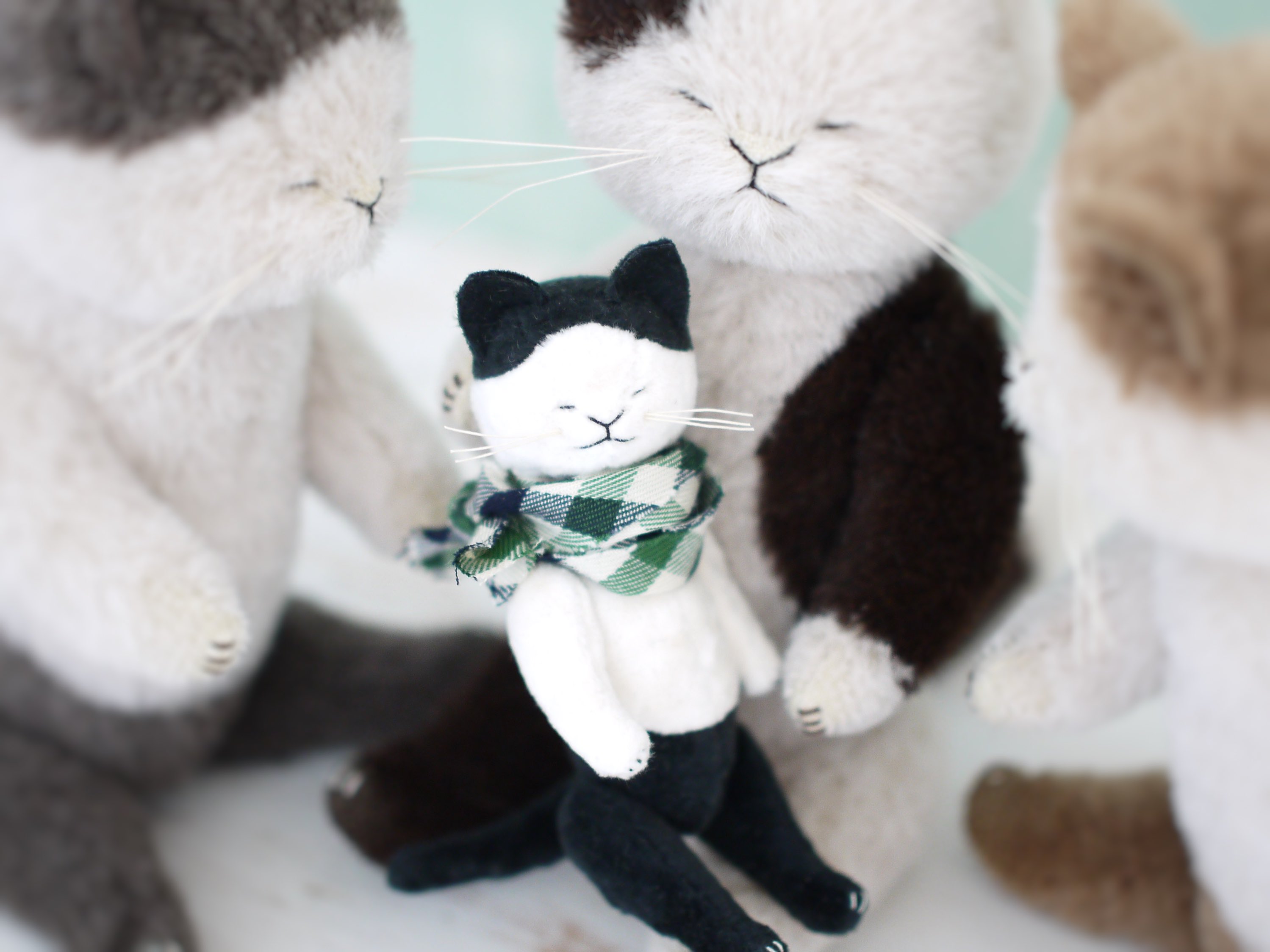 澤田クマ制作所 𓃰 (@chonwool) / X 澤田クマ制作所 𓃰 (@chonwool) / X