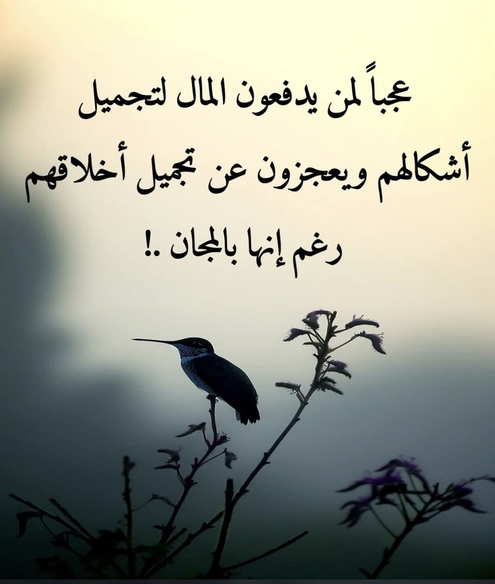 ZaarourKhalil's tweet photo. https://t.co/0uuNfsK7sN