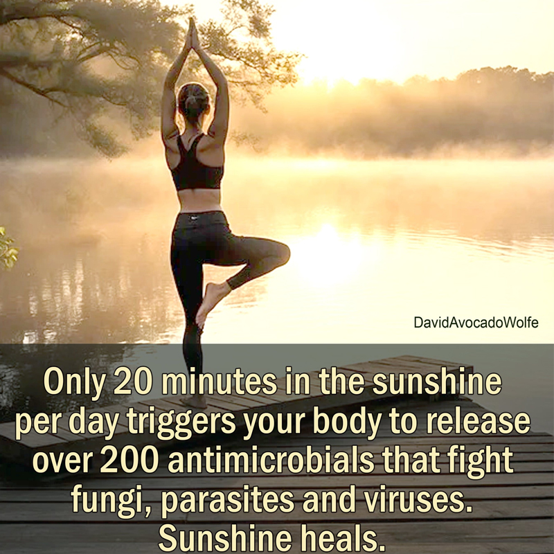 OrganicLiveFood's tweet photo. #Sunlight does play a crucial role in #vitaminD production, which is essential for a healthy immune system  🌞

Just 20 minutes of sunshine triggers the body to release 200 antimicrobial peptides to fight #fungi, #viruses and #parasites 

https://t.co/4kDaBQs9QW