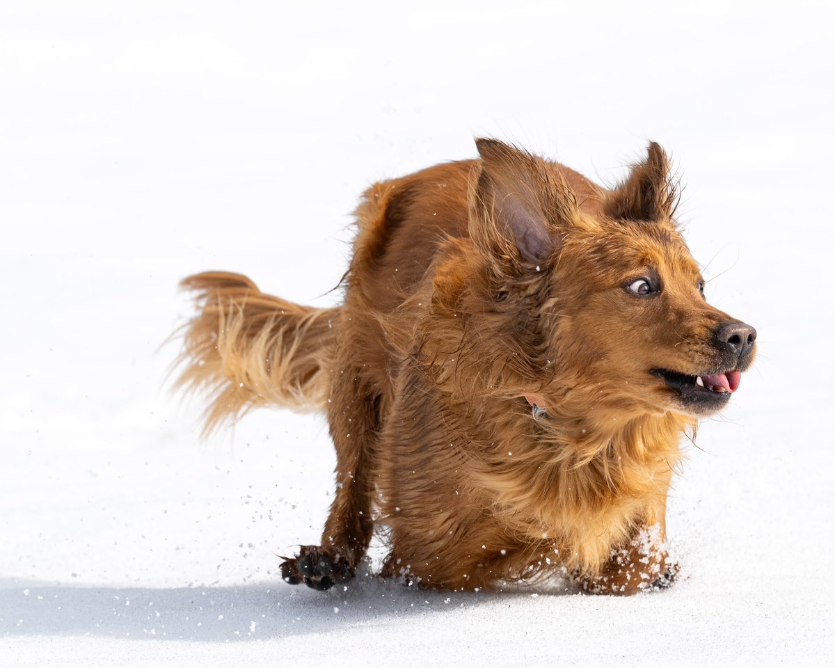 Two seconds difference