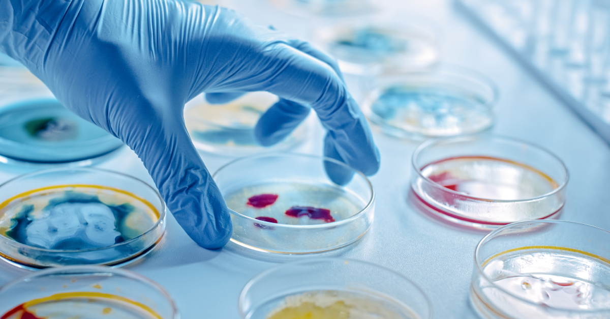 Murdoch Children's Research Institute (MCRI) (@mcri_for_kids) on Twitter photo More than 3 million children died from antibiotic-resistant infections in 2022, according to a new #MCRI and <a href="/CHAI_health/">CHAI</a> study. A <a href="/BBCWorld/">BBC News (World)</a> article details the potential ways to prevent #infection & combat #antimicrobialresistance. <a href="/Infection_MCRI/">The Infection Flagship, MCRI, Melbourne</a>
➡️bbc.com/news/articles/… More than 3 million children died from antibiotic-resistant infections in 2022, according to a new #MCRI and <a href="/CHAI_health/">CHAI</a> study. A <a href="/BBCWorld/">BBC News (World)</a> article details the potential ways to prevent #infection & combat #antimicrobialresistance. <a href="/Infection_MCRI/">The Infection Flagship, MCRI, Melbourne</a>
➡️bbc.com/news/articles/…