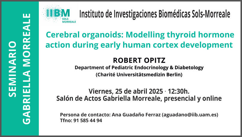 IIBM (@iibmcsicuam) on Twitter photo 🟢 Seminario Gabriella Morreale en el #IIBmCSICUAM
Robert Opitz de la Charité – Universitätsmedizin Berlín <a href="/ChariteBerlin/">Charité - Universitätsmedizin Berlin</a>
📅 Viernes, 25 de abril
⏰ 12:30
📍Salón de Actos Gabriella Morreale y
💻 conecta.iib.uam.es/b/sem-iibm
Más info 👇 🟢 Seminario Gabriella Morreale en el #IIBmCSICUAM
Robert Opitz de la Charité – Universitätsmedizin Berlín <a href="/ChariteBerlin/">Charité - Universitätsmedizin Berlin</a>
📅 Viernes, 25 de abril
⏰ 12:30
📍Salón de Actos Gabriella Morreale y
💻 conecta.iib.uam.es/b/sem-iibm
Más info 👇