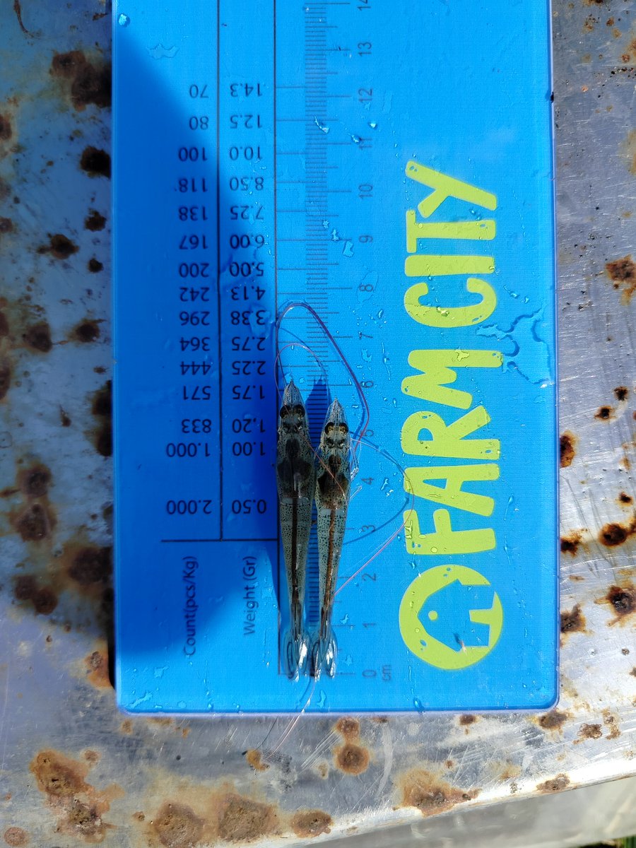 FarmCity tweet media