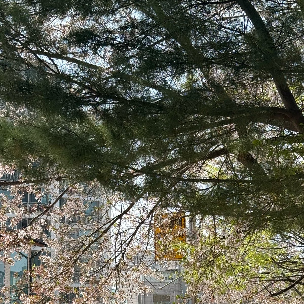 #프롬서기🐰

서기 생각 하면서 좋은 하루 보내자아🤍🥰