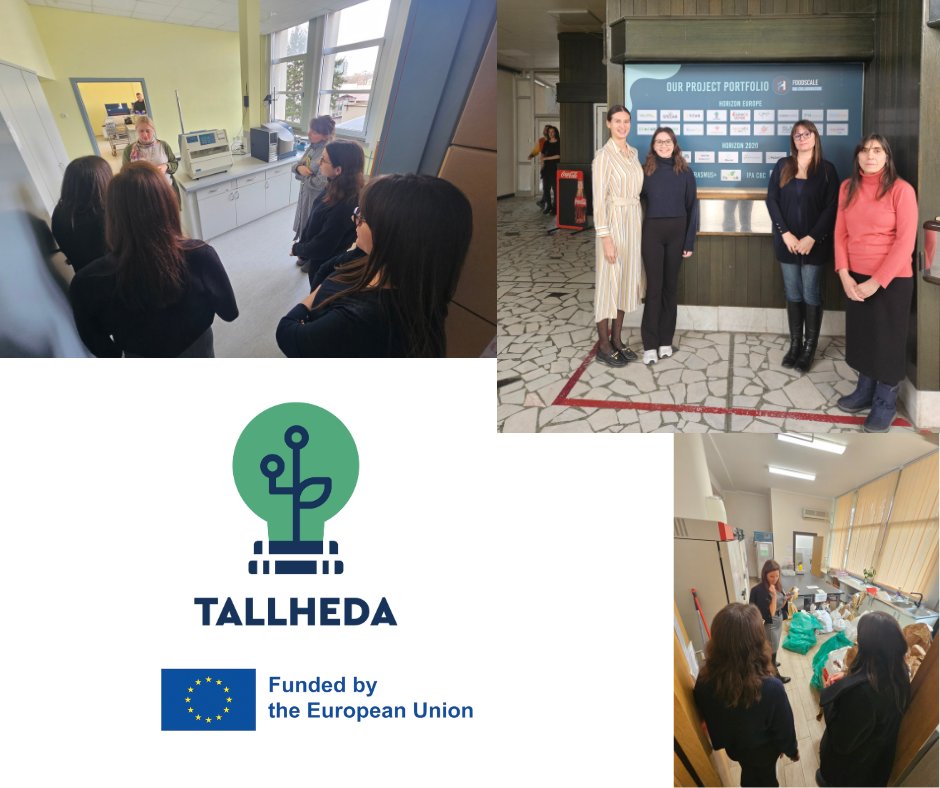 TALLHEDA (@tallhedaproject) on Twitter photo TALLHEDA Staff Mobility: Strengthening Knowledge & Collaboration! ​
Staff from the Agricultural University of Athens travelled to Foodscale Hub in Serbia for a transformative training experience!
#TALLHEDA #HorizonEU #ResearchImpactEU <a href="/REA_research/">European Research Executive Agency</a> TALLHEDA Staff Mobility: Strengthening Knowledge & Collaboration! ​
Staff from the Agricultural University of Athens travelled to Foodscale Hub in Serbia for a transformative training experience!
#TALLHEDA #HorizonEU #ResearchImpactEU <a href="/REA_research/">European Research Executive Agency</a>