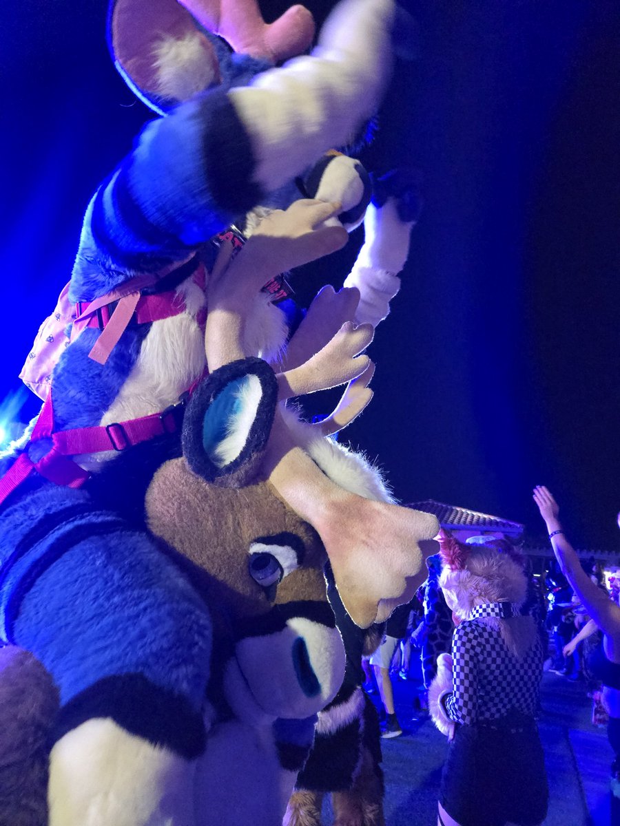 RadicalBou's tweet image. LVFC WENT HARD
