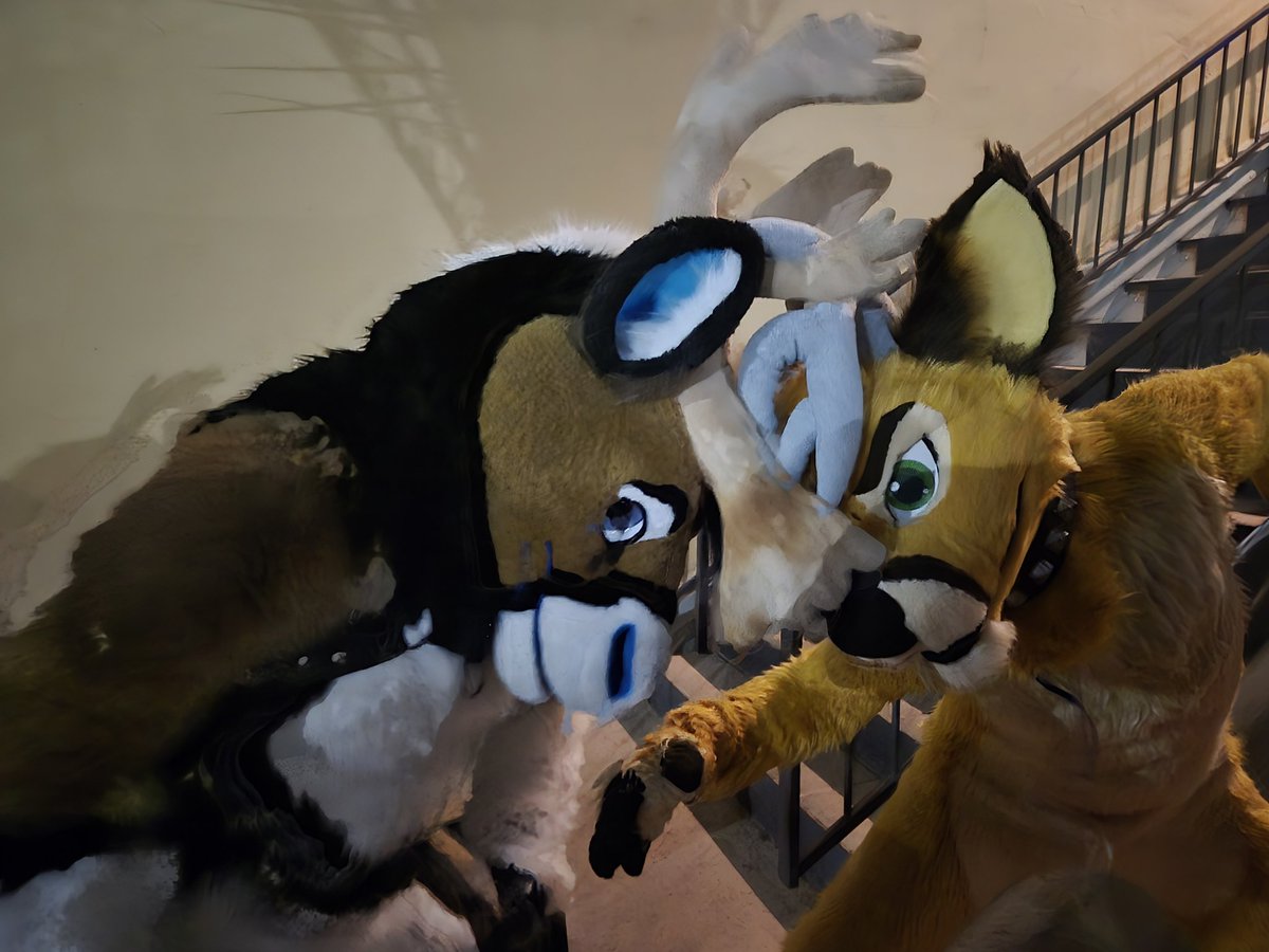 RadicalBou's tweet image. LVFC WENT HARD