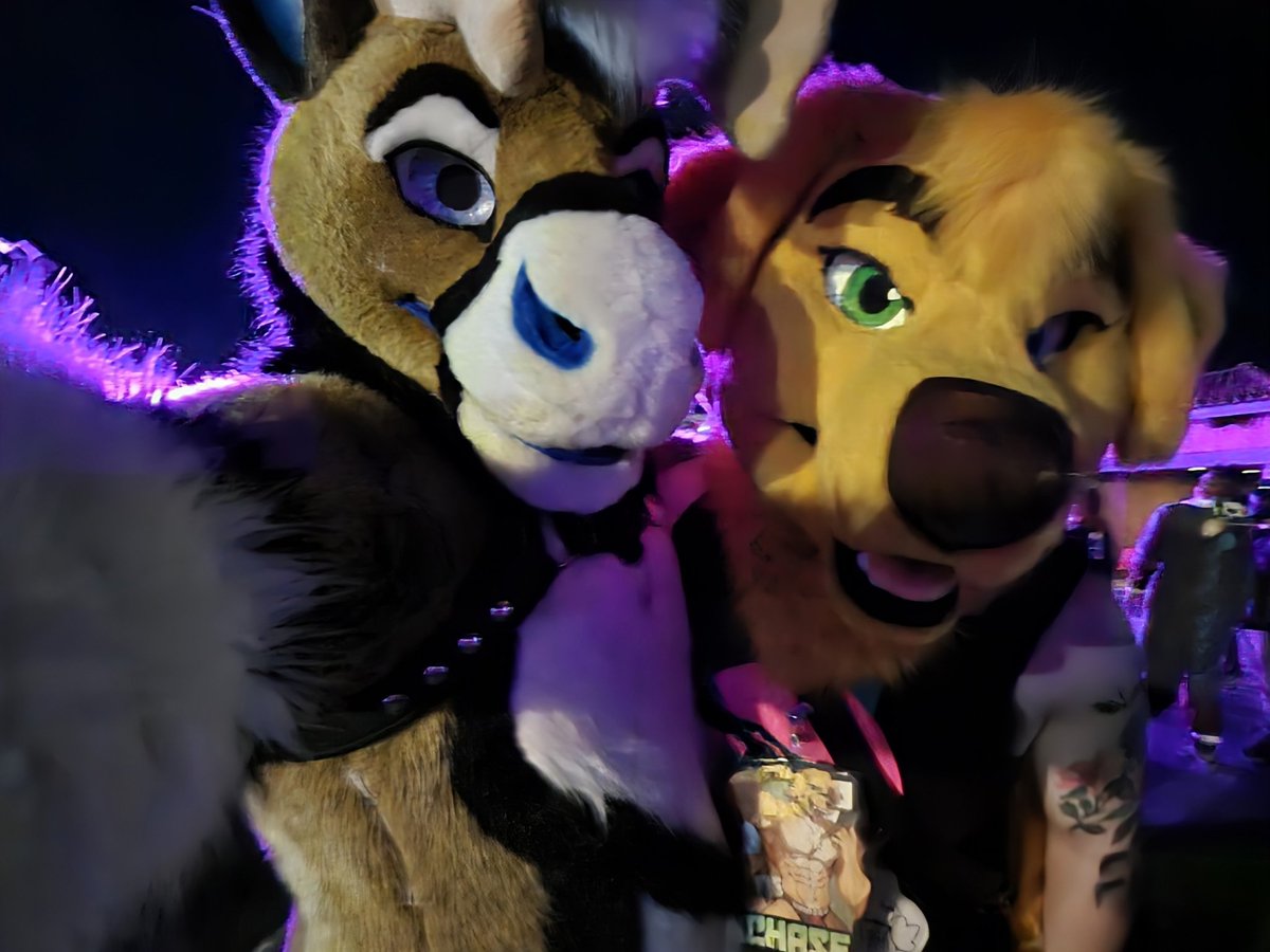 RadicalBou's tweet image. LVFC WENT HARD