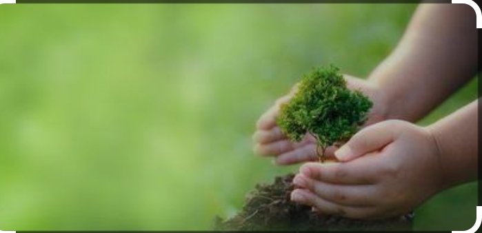 #EarthDay तो बस बहाना है, हमें एक और पेड़ लगाना है !!

#EarthDay2025 #WorldEarthDay #PopeFrancis #GoGreen #KKRvsGT #Nifty50 #JDVanceInIndia #PMModi #Gold #RahulGandhi #WWERaw #GoldPrice
