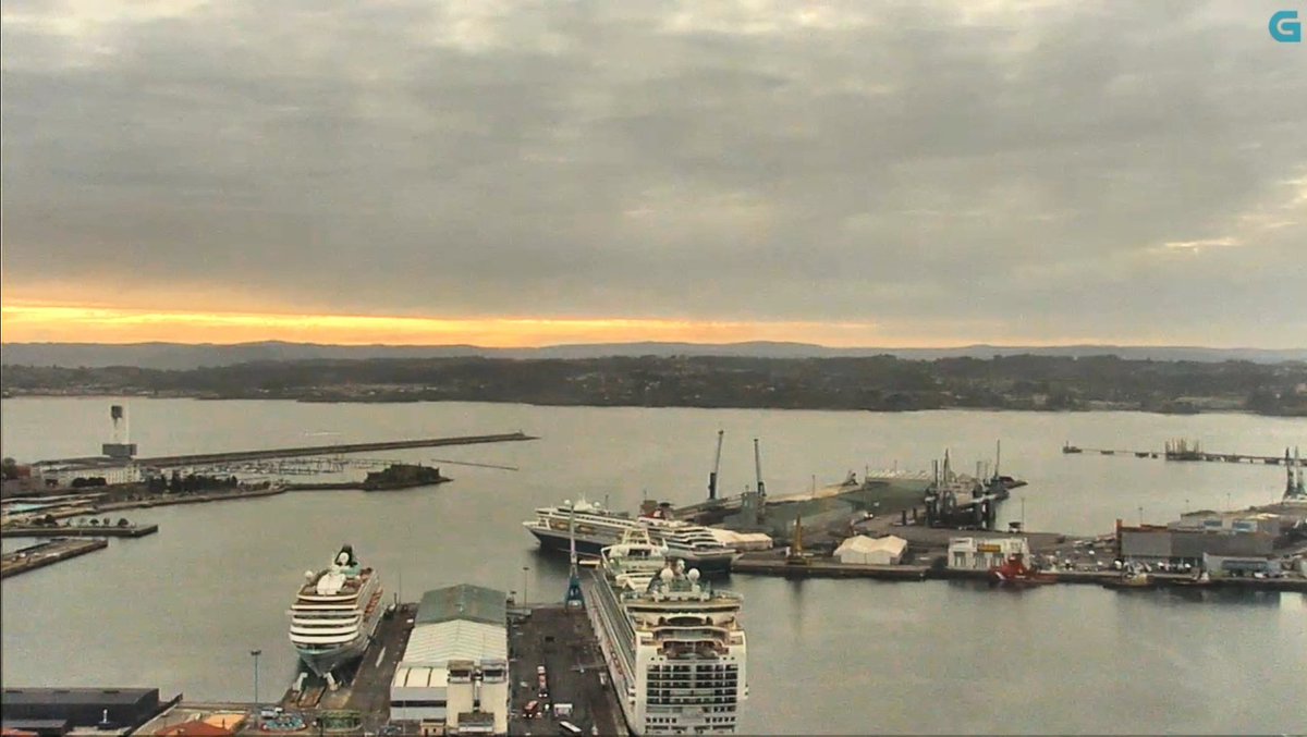 Silcerino tweet media