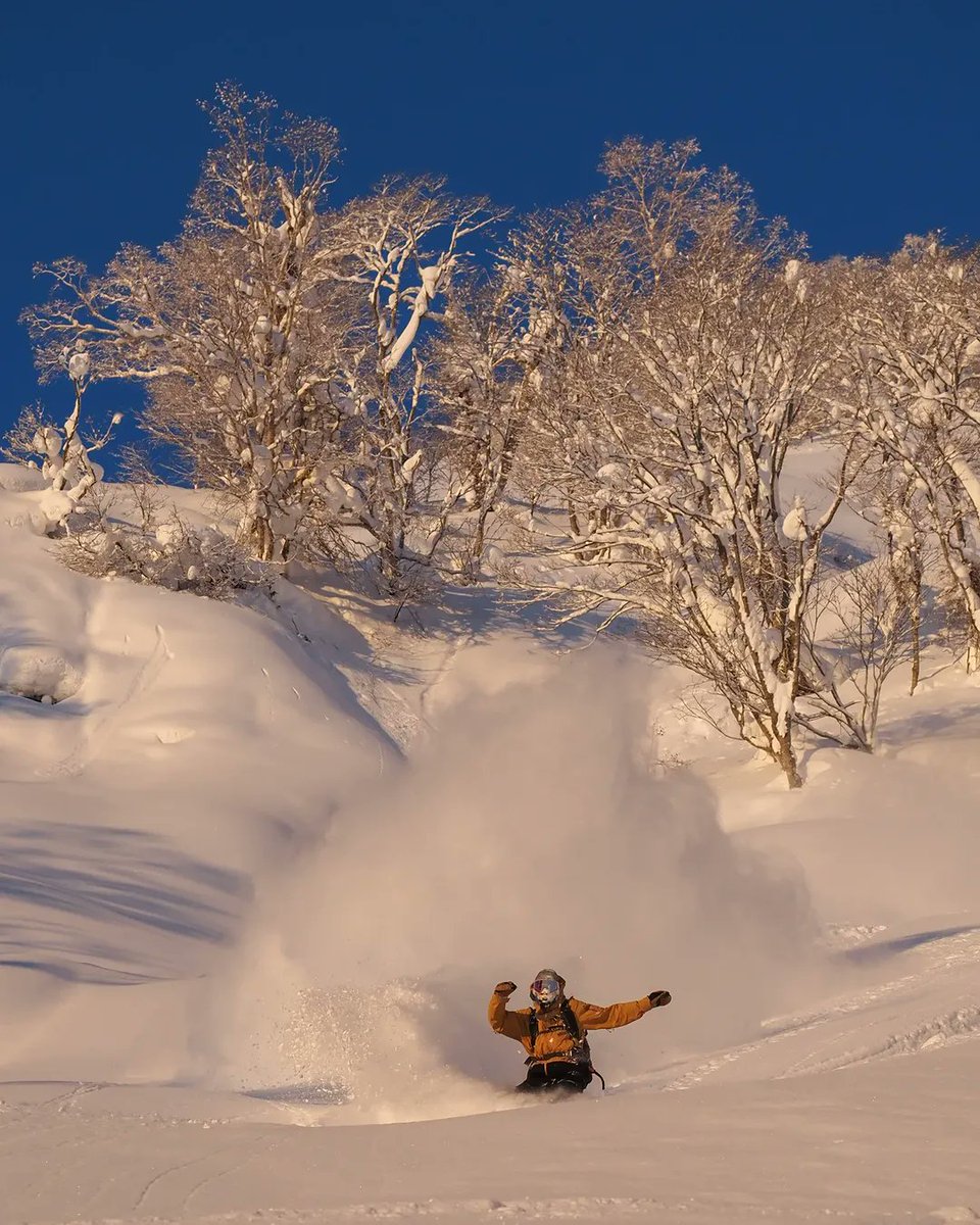 Powderlife_com's tweet image. @jimi_yuki_oertli riding in the dawn's early light. 📸 Shot by @ruairidhs👌This is the life... #Powderlife