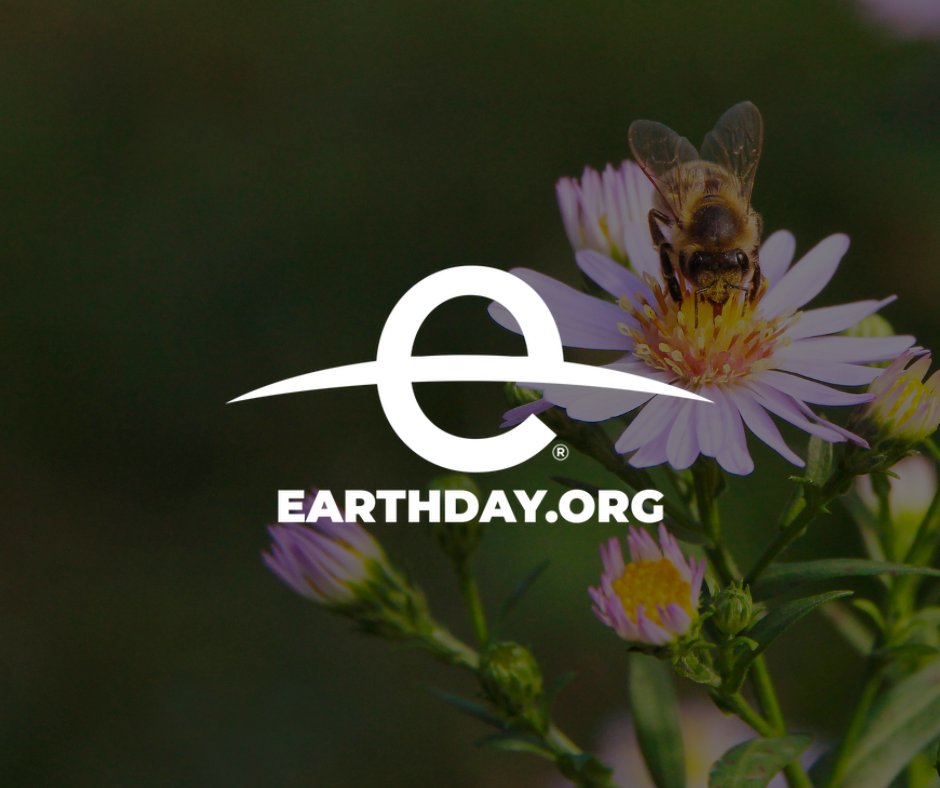 Celebrate #EarthDay2025 with Envar!

We're committed to turning organic waste into valuable resources, reducing landfill, and supporting soil health. Every action counts, big or small!

Join the movement: earthday.org

#Envar #Sustainability