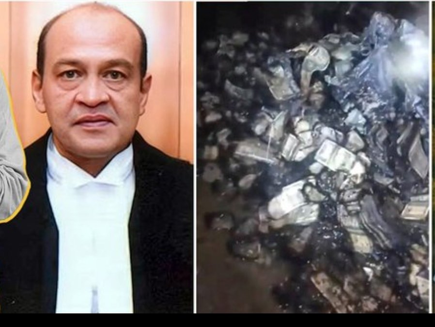 GyaneshwarPan19's tweet photo. @barandbench Shocks conscience!
Shame on you for this
where is your conscience #Melord https://t.co/r7ccls3VaU