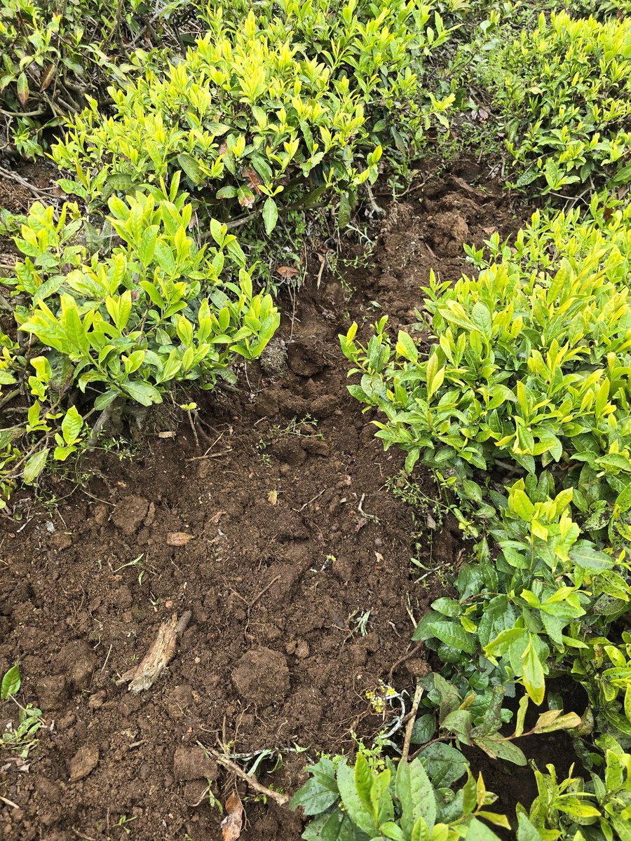 Devletimize güvenerek ailece çay tarımı yaparak borç ödeyerek almış olduğumuz tahditli taksi plakamızı kendi çıkarları doğrultusunda sömürenler hiç bir bedel ödemiyor.
Kanuni açıklar bularak kazanç elde etmeye devam ediyorlar.
Burada kul hakkı var, vebal var
<a href="/RTErdogan/">Recep Tayyip Erdoğan</a> <a href="/iletisim/">T.C. İletişim Başkanlığı</a>