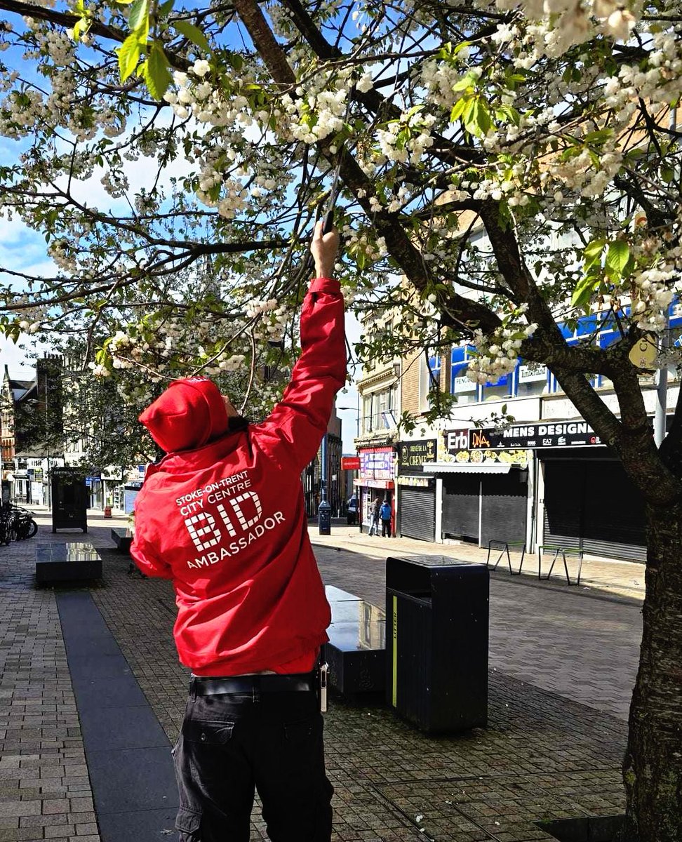 It's #EarthDay, so we thought we would share some environmental facts about what we achieved in 2024... 

♻️400 tonnes of cardboard collected with our Eco-Bicycle + second hand van
💐100 hanging baskets installed
🚮175 bags of rubbish removed from city centre streets