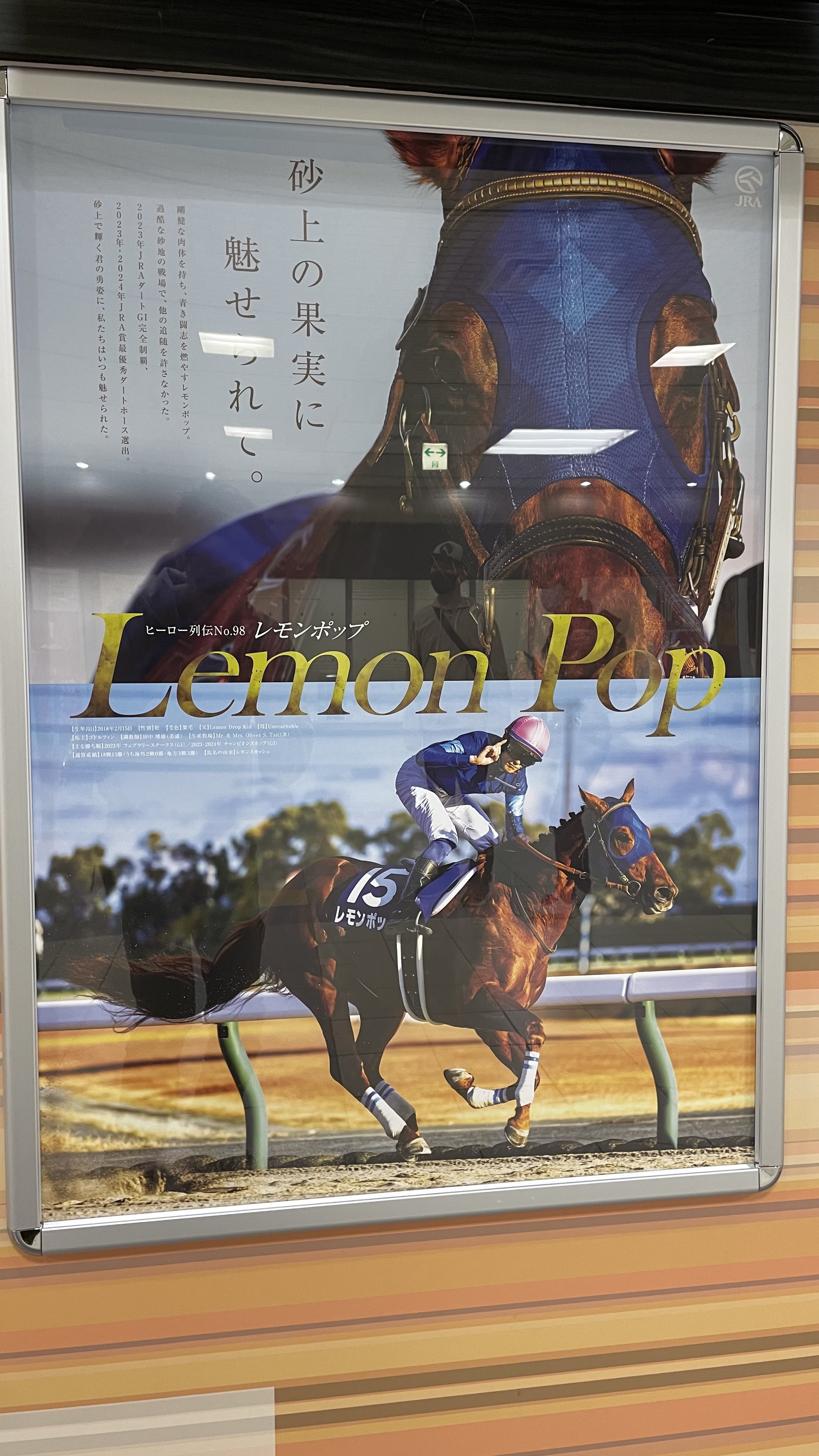 ふれい⚓️🏇 on X: 