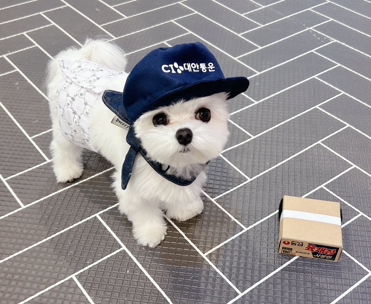 택배와떠요
문열어주새요