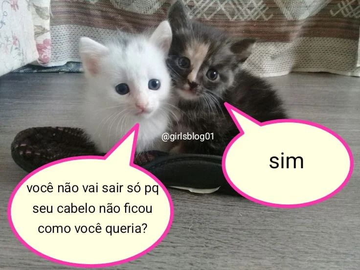 odeiootaco's tweet photo. https://t.co/06UEWqkH9y