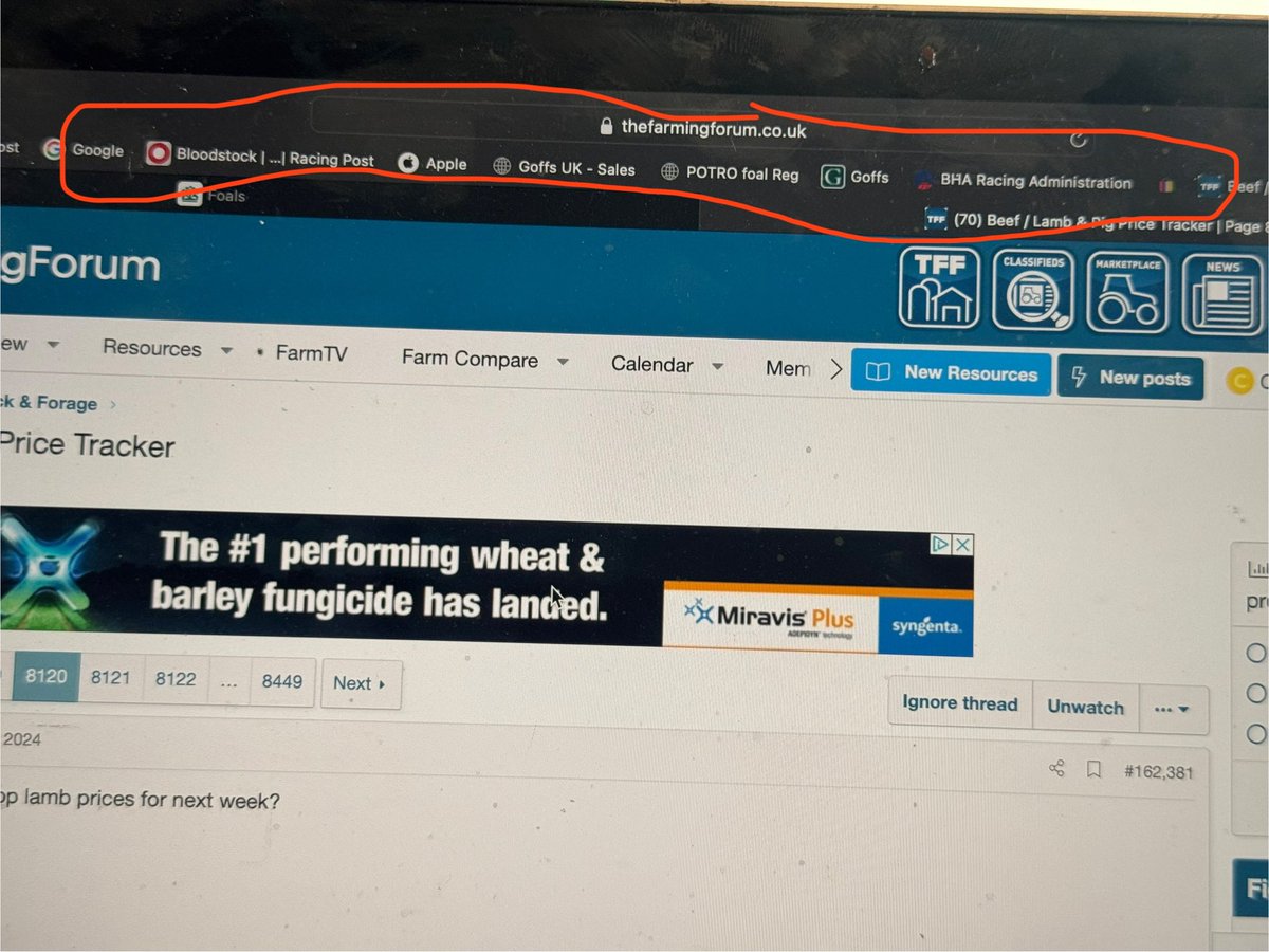 Chris Napthine 🐎🐑🏃🏻♂️ tweet media