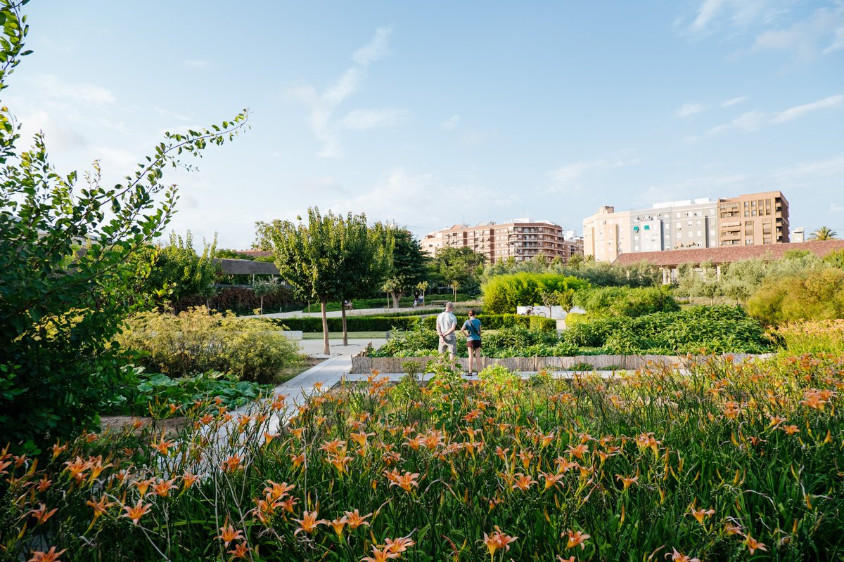 VisitValència. tweet media