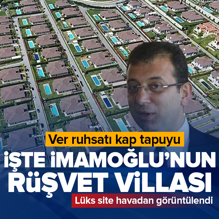 A Haber tweet media