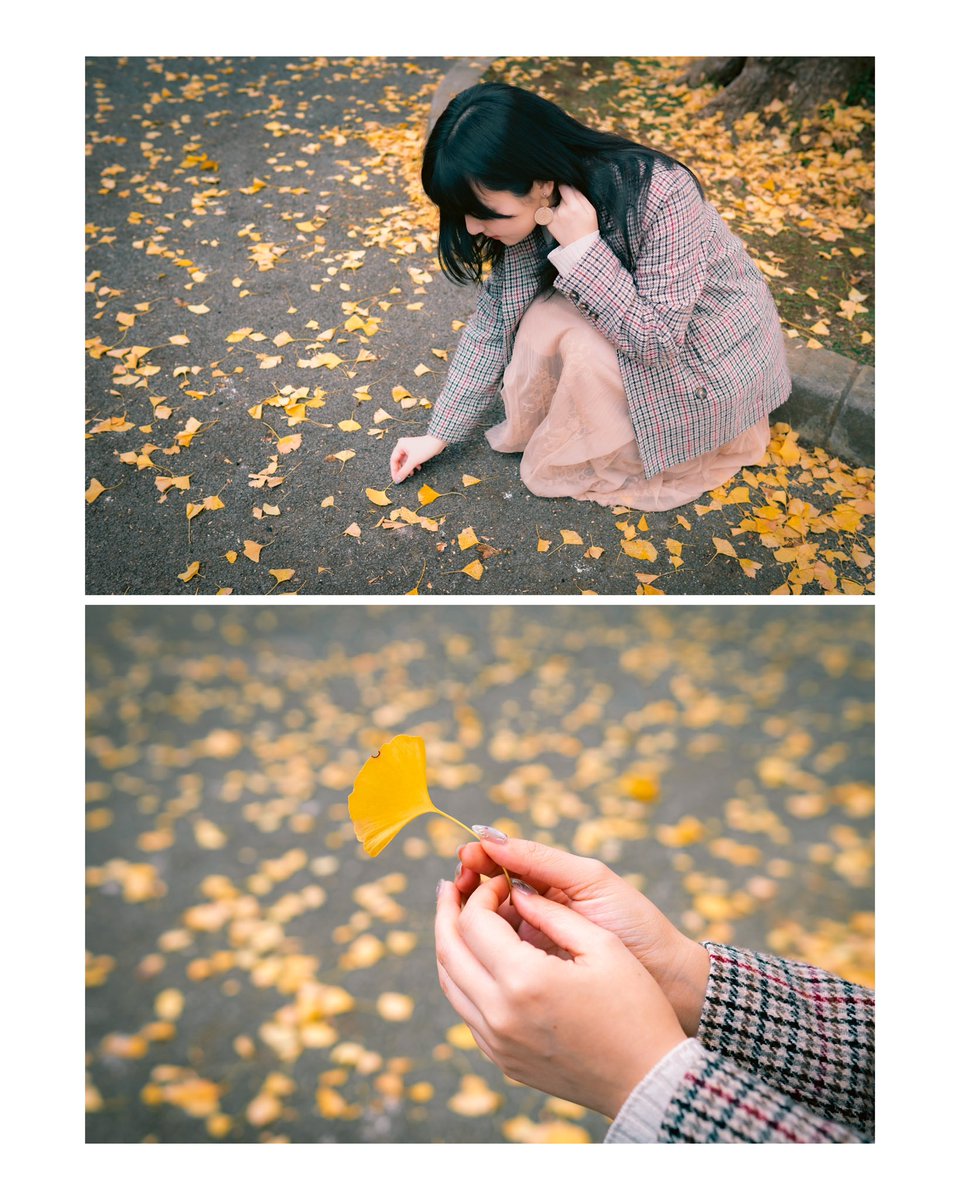mwuf15's tweet photo. Ueno park for Autumn photoshoot is so nice, hardly anyone there

👩🏻: @moq_moq_tapi 

#攝影日記 #攝影 #photography #uenopark #photoshoot #autumnintokyo https://t.co/nj839PX5q2