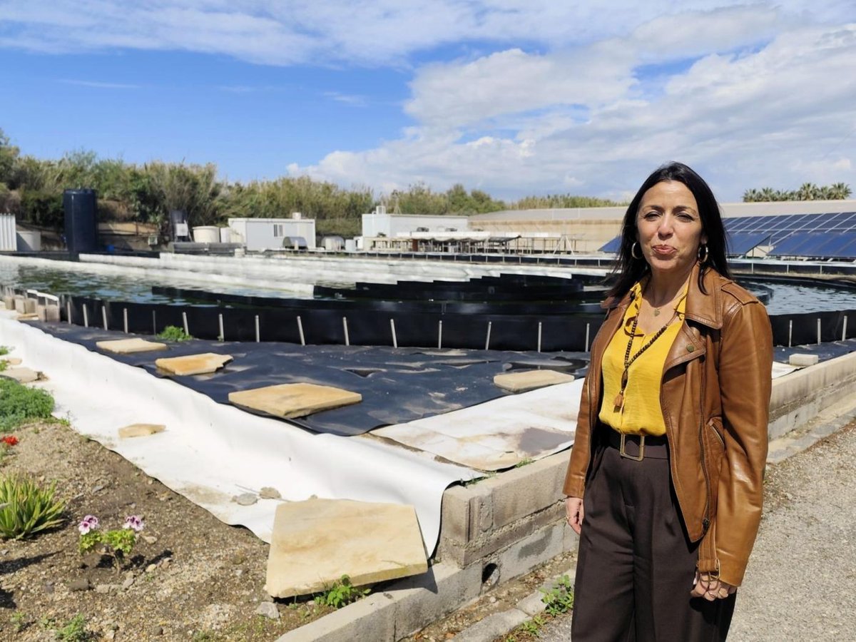 La presidenta del #IFAPA, <a href="/martabosquet/">Marta Bosquet🇪🇦💚🤍💚</a>, analiza el impacto de la #IA en el sector primario: "Vamos hacia un #agricultura de precisión" 📡🚜

Conoce las #apps y soluciones gratuitas que oferta el #IFAPA en esta entrevista de <a href="/EPAndalucia/">Europa Press</a> <a href="/Ep_agro/">EpAgro</a>📲

📰europapress.es/esandalucia/al…