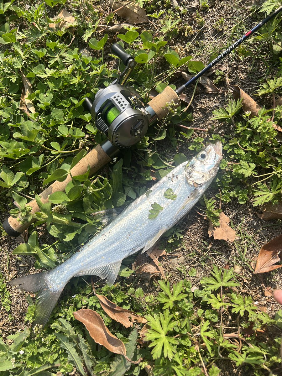 Liang Liu (@llnull) on Twitter photo 