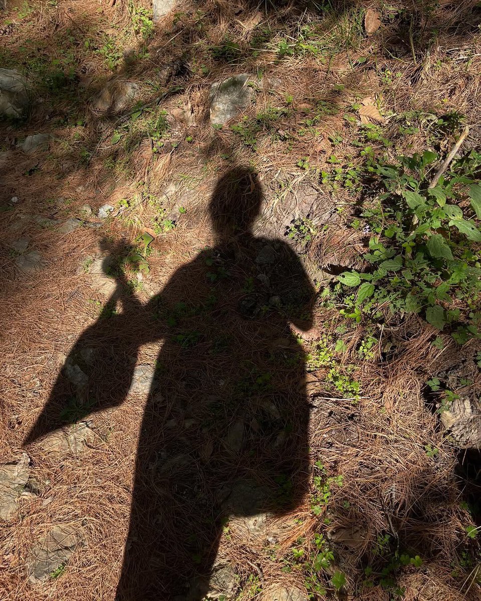 A love letter to mountain flowers by Rohini Kejriwal (<a href="/woohoochild/">Woohoochild</a>)

Springtime in Himachal felt like walking through a painting, nature’s palette spilling over every path I took. There was so much joy in simply noticing. 🌸🌿🩷⛰️✨ 

#HoovuFinds