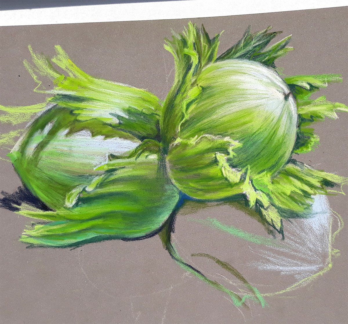 alena12gi's tweet image. Happy Tuesday, friends 🌞🎈
Work in the process of drawing and the finished sketch. Hazelnuts 🥜🌳, pastel 🎨  🖍️, 20x30 cm   #ArtistsOnTwitter #pasteldrawing #Tuesdayvibes #Tuesdaymotivation
