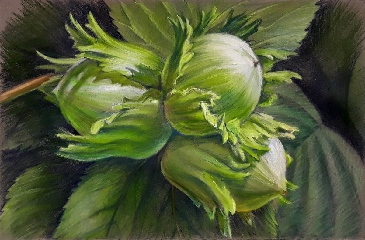 alena12gi's tweet image. Happy Tuesday, friends 🌞🎈
Work in the process of drawing and the finished sketch. Hazelnuts 🥜🌳, pastel 🎨  🖍️, 20x30 cm   #ArtistsOnTwitter #pasteldrawing #Tuesdayvibes #Tuesdaymotivation