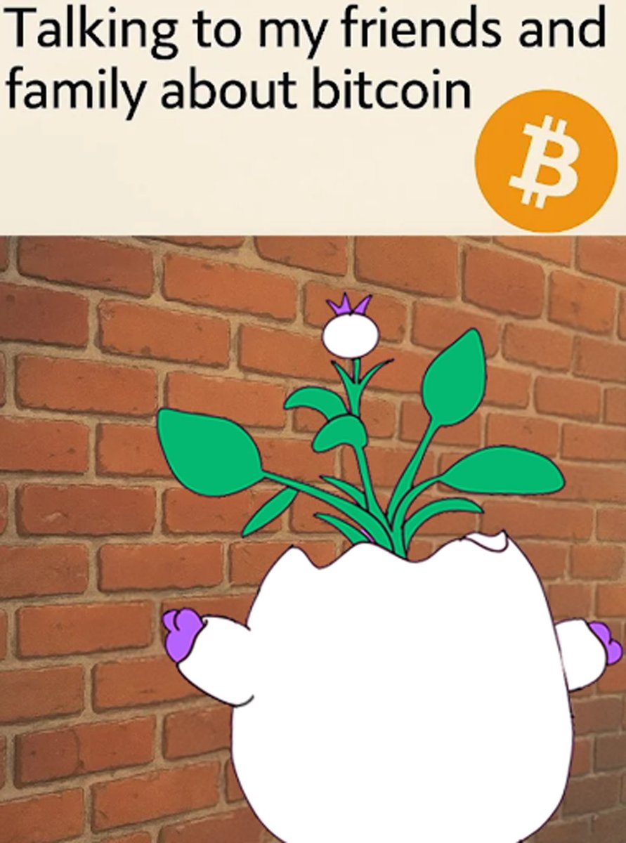 Magic Eden 🪄 tweet media