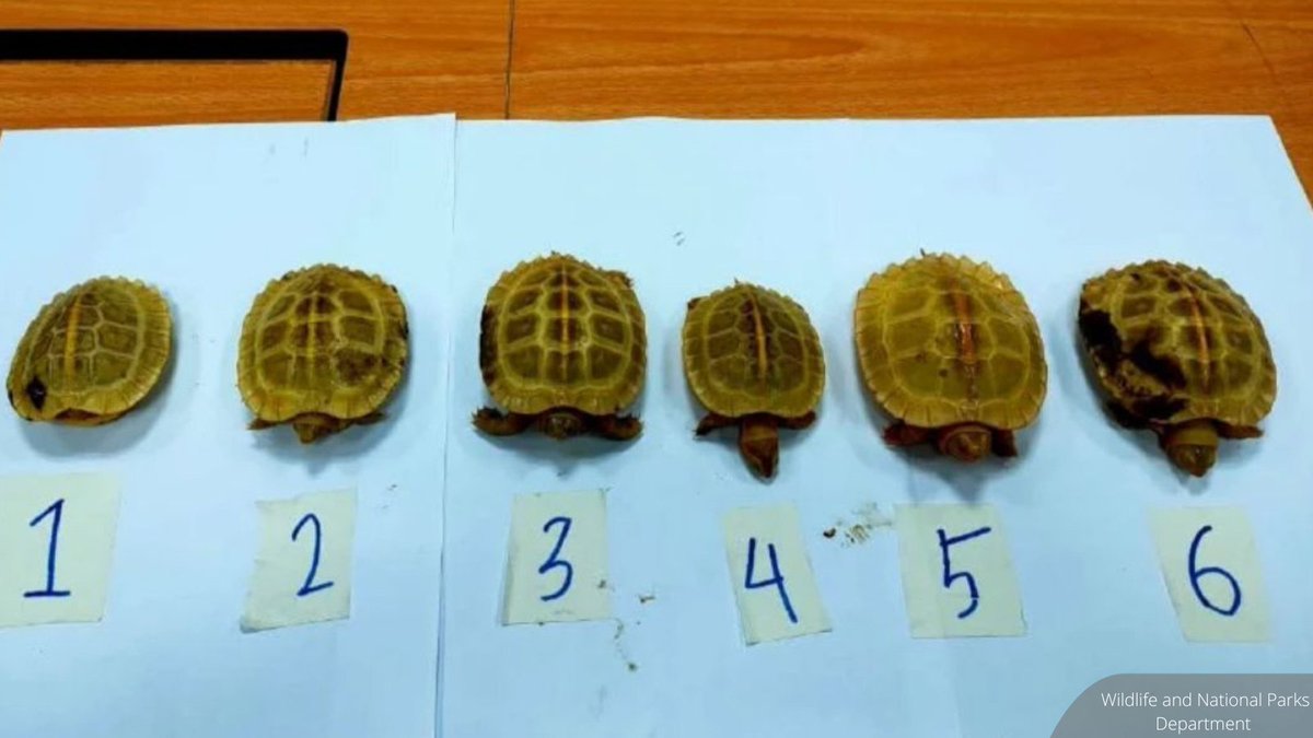 BFM News tweet media