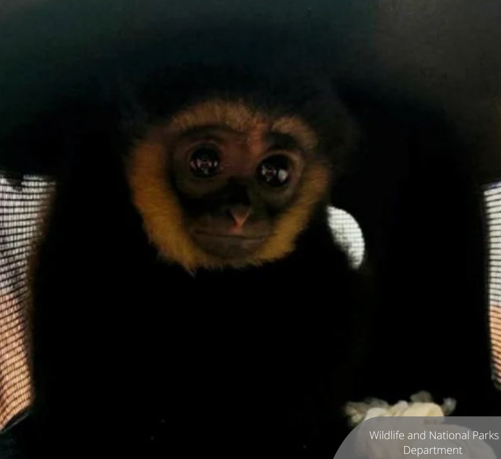 BFM News tweet media