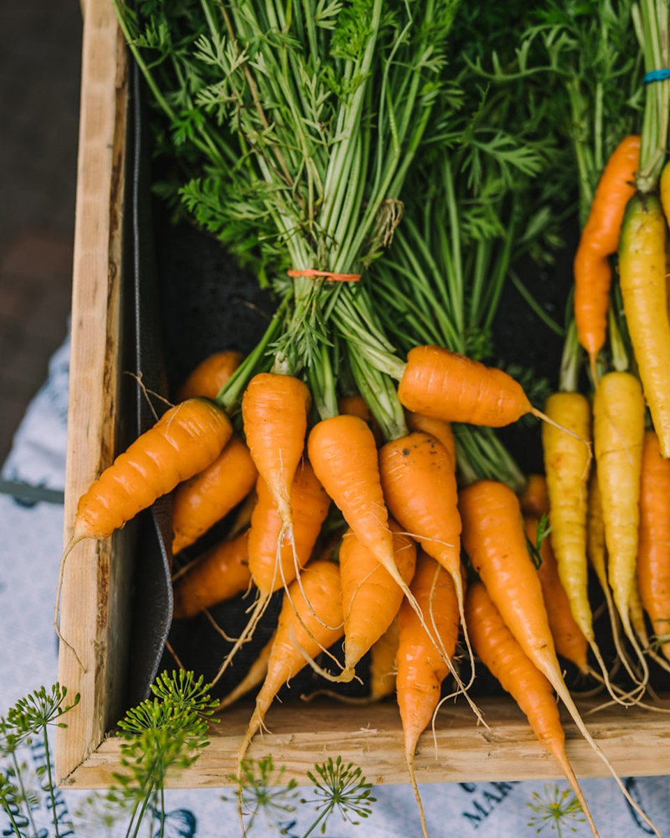 AlimentsNB's tweet image. Profitez bien du Jour de la Terre! 🌍 Aujourd’hui, nous célébrons la terre, les océans et les personnes qui en prennent soin. 🌿🐟🌾 

#achetezlocalpourdebon #jourdelaterre #soutenezlocal