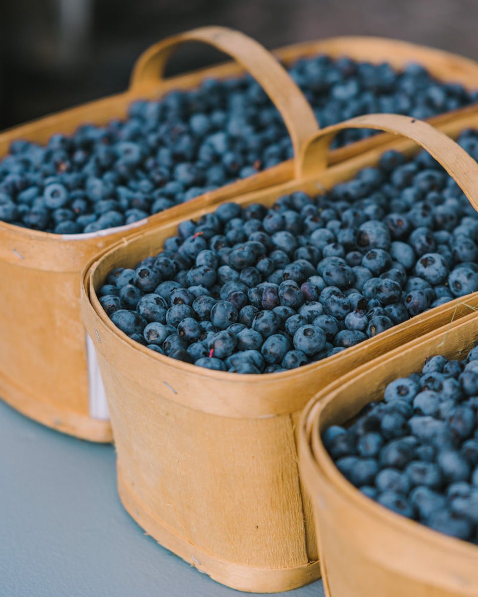 AlimentsNB's tweet image. Profitez bien du Jour de la Terre! 🌍 Aujourd’hui, nous célébrons la terre, les océans et les personnes qui en prennent soin. 🌿🐟🌾 

#achetezlocalpourdebon #jourdelaterre #soutenezlocal
