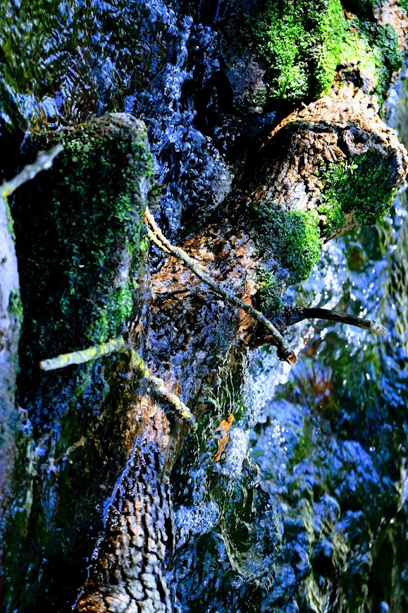 Strong enough to drift
#photography