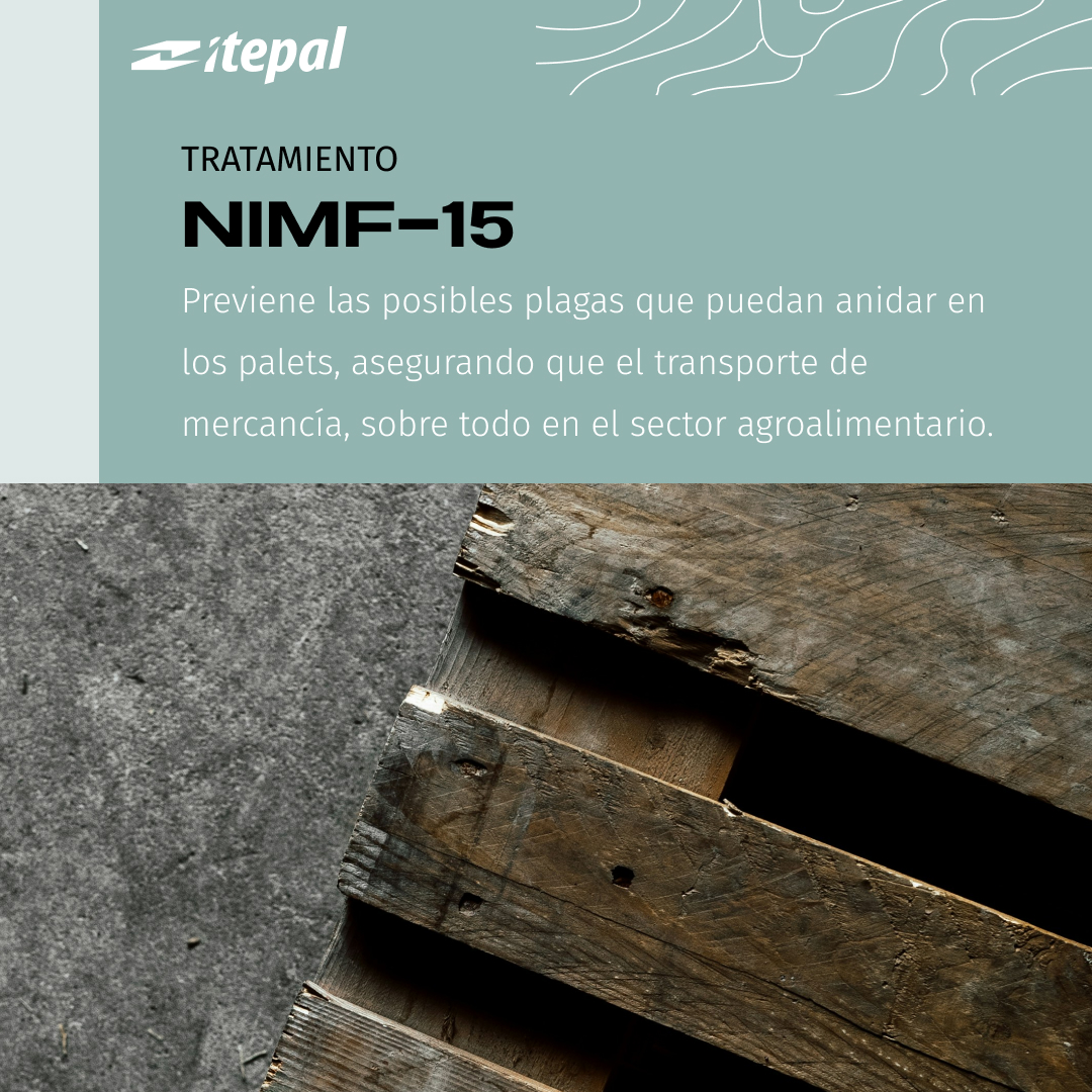 Antes de comprar tus palets de madera te recomendamos que cuente con un tratamiento NIMF15. 🌐

Desde Itepal nos preocupamos de que nuestros productos tengan una vida larga y eficiente. 

▶️ Más info:
🌐 itepal.com
.
.
#Itepal #NIMF15 #PaletsDeMadera