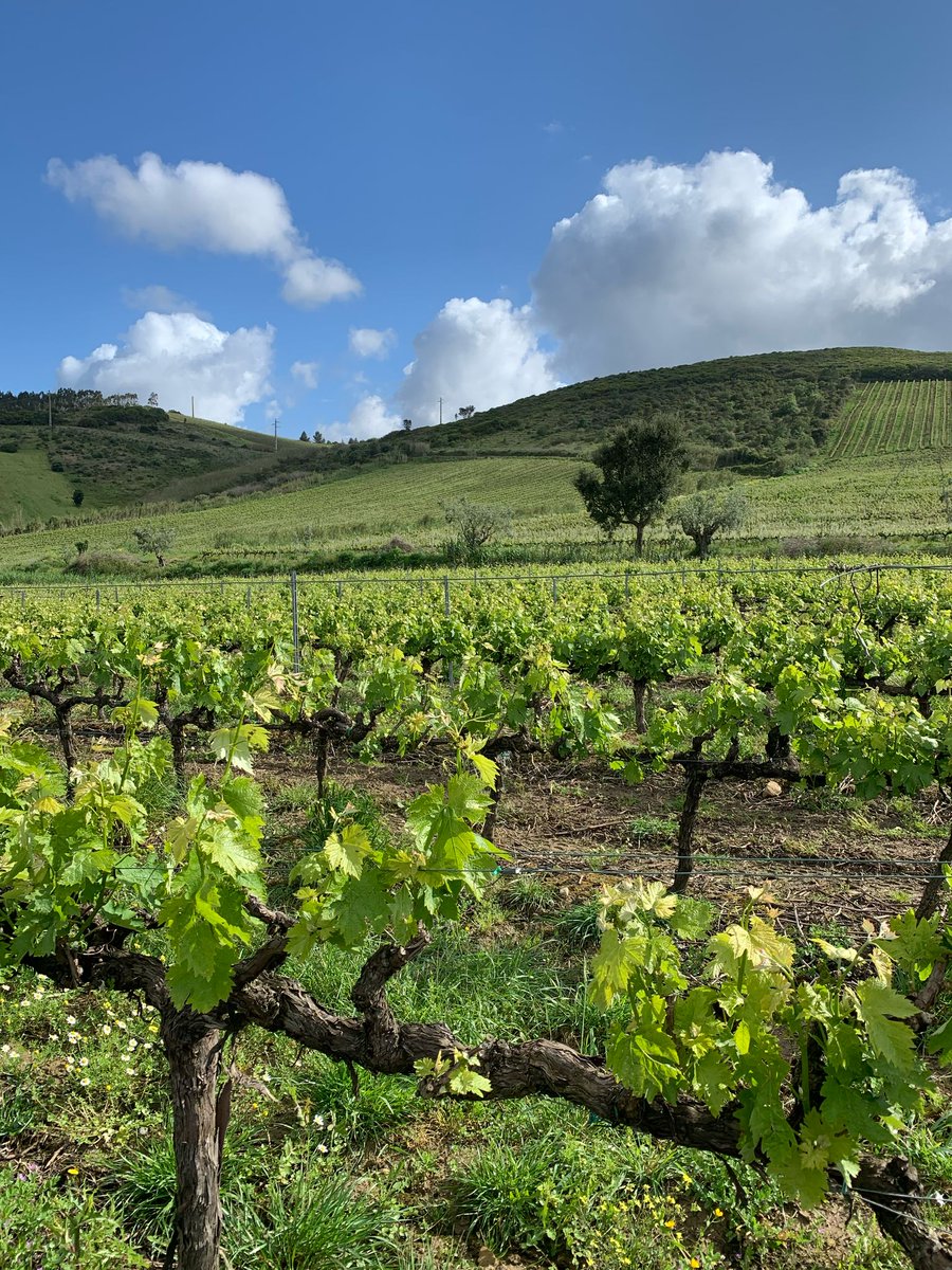 Neste Dia Mundial da Terra, reconhecemos a força do ecossistema agrícola — onde solo, água, biodiversidade e saberes se conectam!

Com o tema “O Nosso Poder, O Nosso Planeta”, celebramos quem cultiva em harmonia com a natureza, preservando os recursos que sustentam a vida.