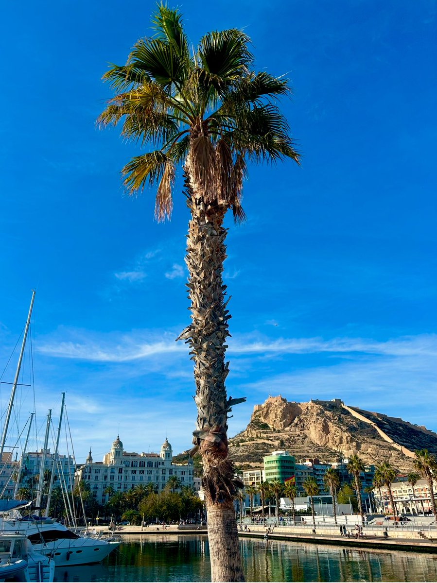 Beat Giger tweet media