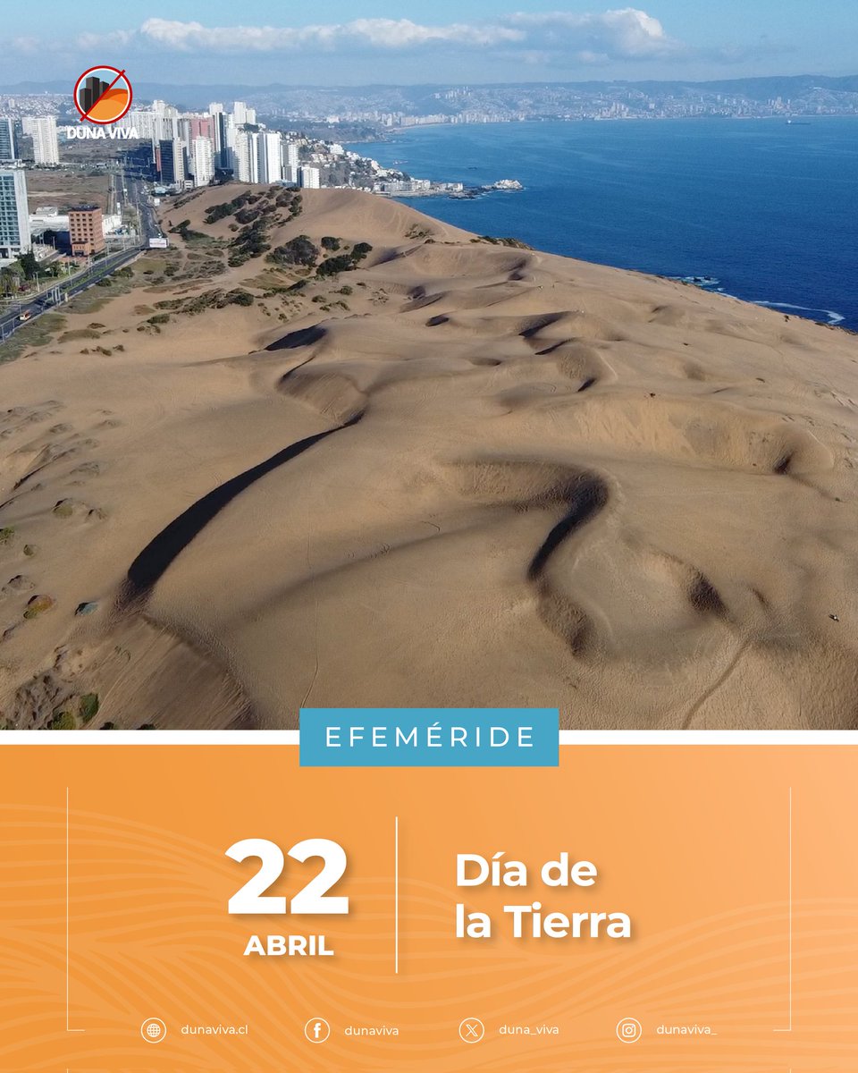 duna_viva's tweet photo. Las Dunas de Concón son memoria viva de la Tierra 🌱✨
Hoy, en el #DíaDeLaTierra, celebramos este ecosistema único que:
🔸 Guarda historias geológicas de miles de años.
🔸 Alberga especies que no existen en ningún otro lugar
🔸 Nos recuerda que la naturaleza resiste y nos protege https://t.co/LVFfVZx8D3