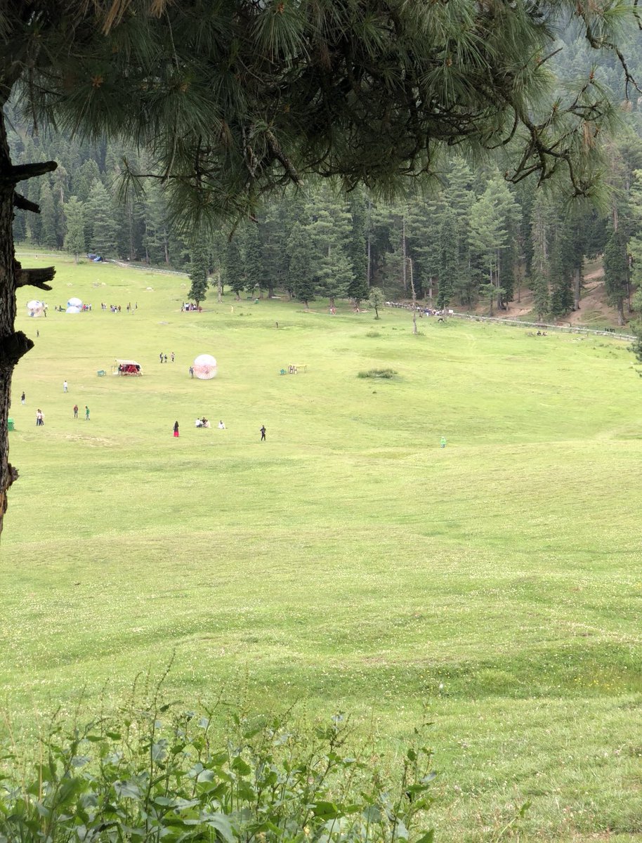 Foxtrot_ca's tweet photo. Some years ago, I sat right here capturing these shots, and now this happens at the same exact spot.  #Pahalgam https://t.co/9GafyXfA0V