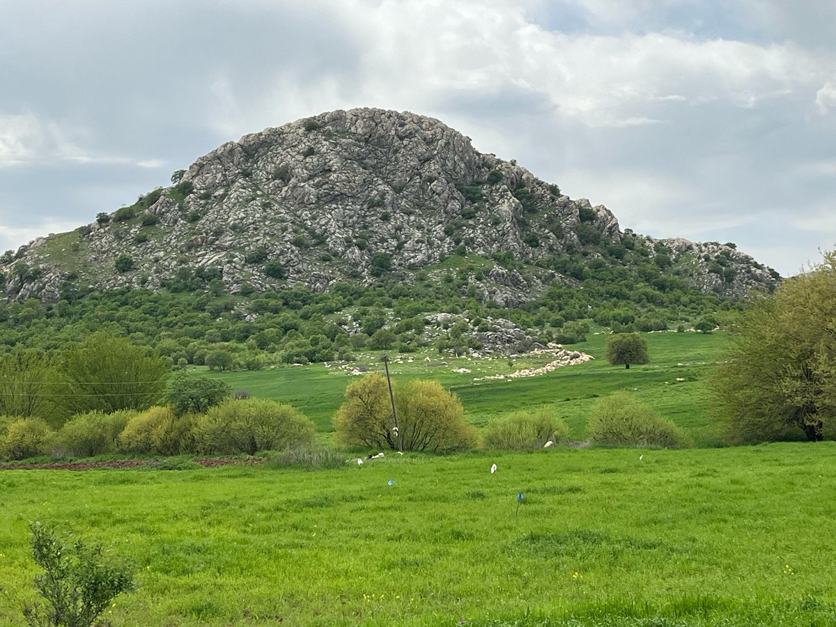 Efe_ucar21's tweet photo. Kurdıstan û cotkar https://t.co/HXK9OqIq09