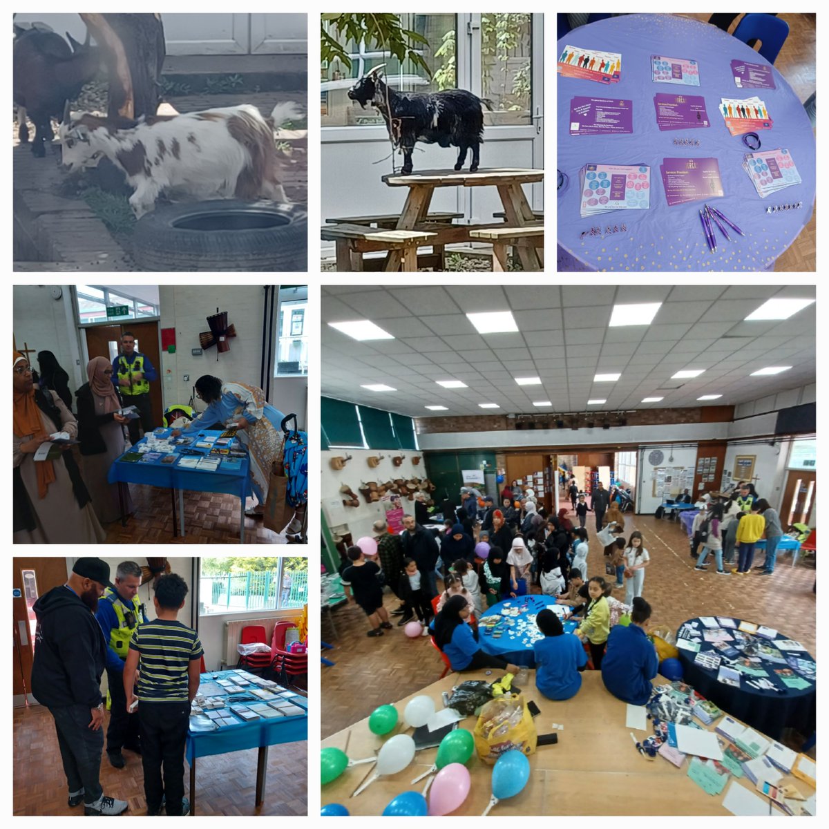 Birmingham Police (@brumpolice) on Twitter photo Family fun day along with outreach, crime prevention and support for local family's.
Great day. Check out the 🐐 and the 🐔.
<a href="/JQuarterWMP/">Jewellery Quarter Police</a>
#SaferJq Family fun day along with outreach, crime prevention and support for local family's.
Great day. Check out the 🐐 and the 🐔.
<a href="/JQuarterWMP/">Jewellery Quarter Police</a>
#SaferJq