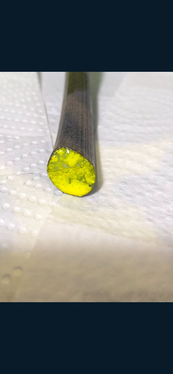 新鮮な明日葉ちゃん！！
(*´Д｀*)

#今　#明日葉　#収穫
#ちょっと　#大きめ
#今から　#料理